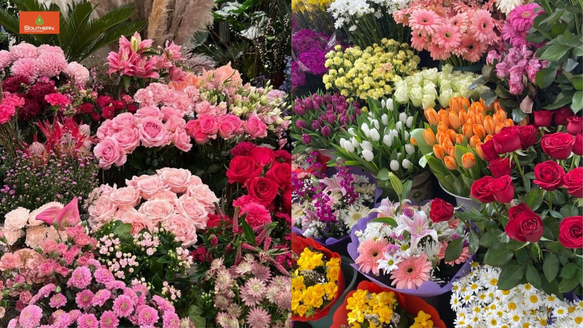 ดอกกุหลาบสีแดง