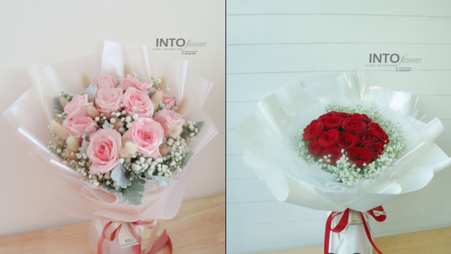 กุหลาบแดง