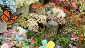 ดอกกุหลาบ, ดอกลิลลี่, ดอกทานตะวัน, ดอกไม้ตามฤดูกาล,ดอกไม้สีแดง, ดอกไม้สีขาว, ดอกไม้สีชมพู,ราคาช่อดอกไม้, ราคาจัดกระเช้า, ราคาดอกไม้ประดิษฐ์